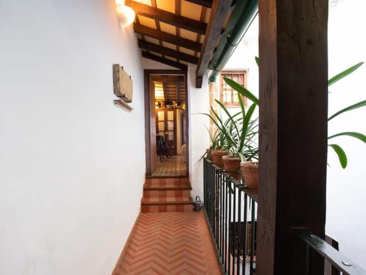 Historic House In The City Center เซบีญา ภายนอก รูปภาพ